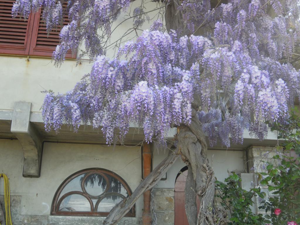 Bel Panorama Tre Guest House Pelago Exterior photo